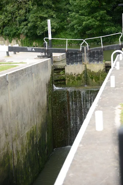 DSC_2720 (Large).JPG